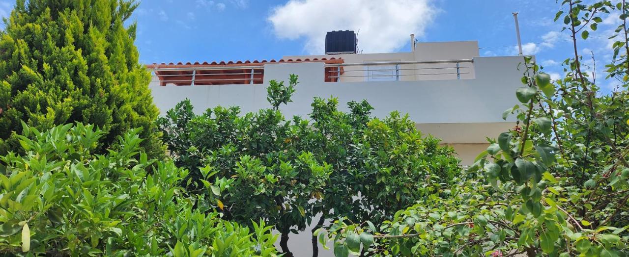 Villa Elli Hersonissos  Ngoại thất bức ảnh